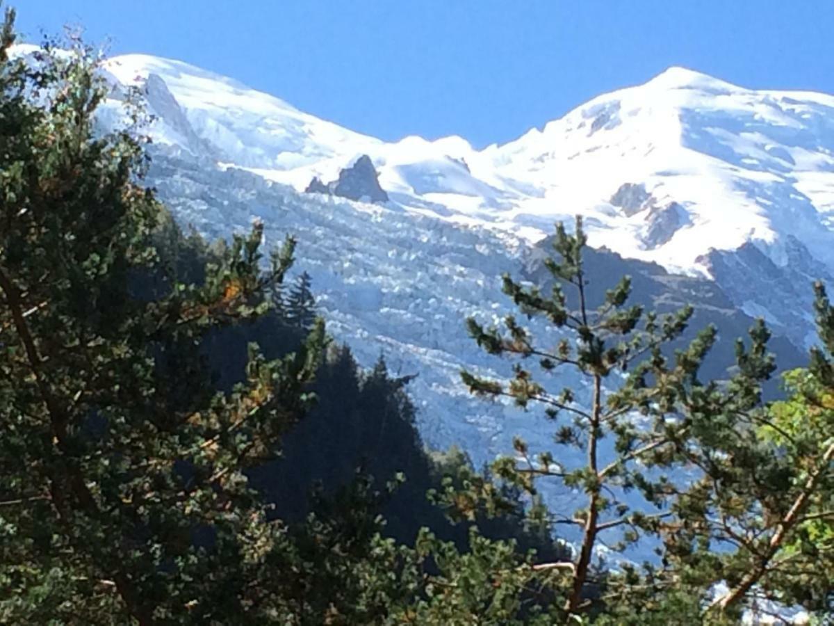 Chalet Des Petits Loups Vila Chamonix Exterior foto